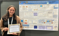 Exploring molecular polaritons in the gas phase